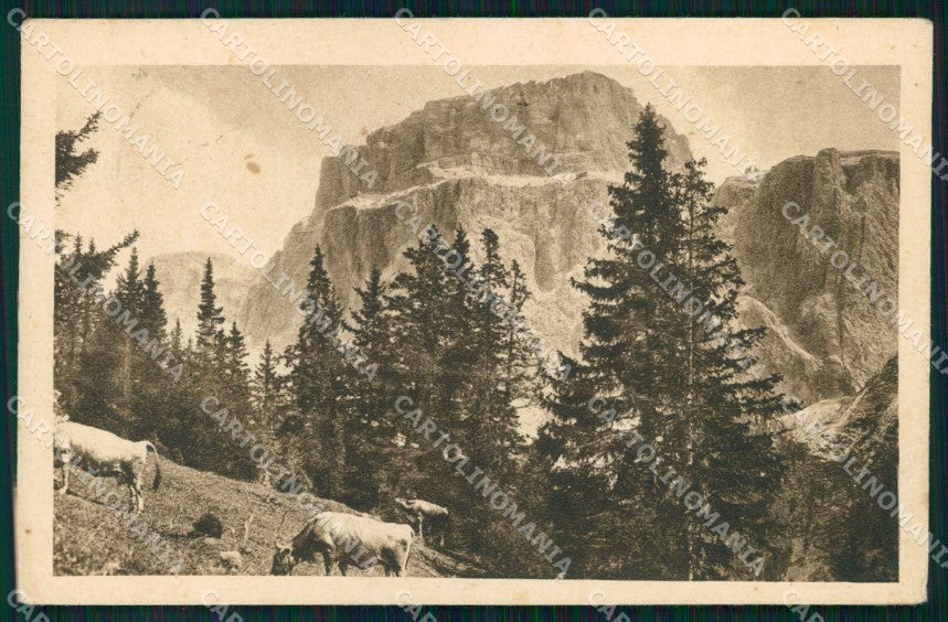 Trento Canazei Passo Pordoi Gruppo Sella cartolina MX4008 – fronte