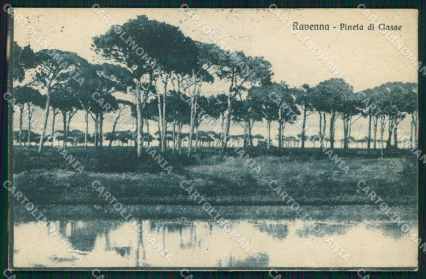 Ravenna Città Pineta di Classe cartolina MX4030 – fronte