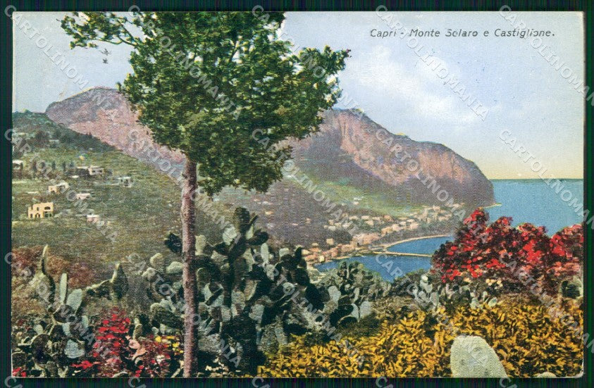 Napoli Capri Monte Solaro Castiglione cartolina MX4099 – fronte