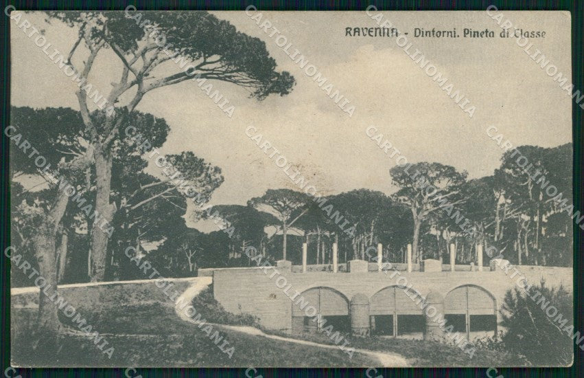 Ravenna Città Pineta di Classe PIEGA cartolina MX4171 – fronte