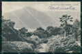 Como Cadenabbia Giardino Villa Carlotta Brunner 110 93 cartolina MX4260 – fronte