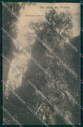 Vicenza Recoaro Terme Saluto da Montagna Spaccata cartolina MX4396 – fronte