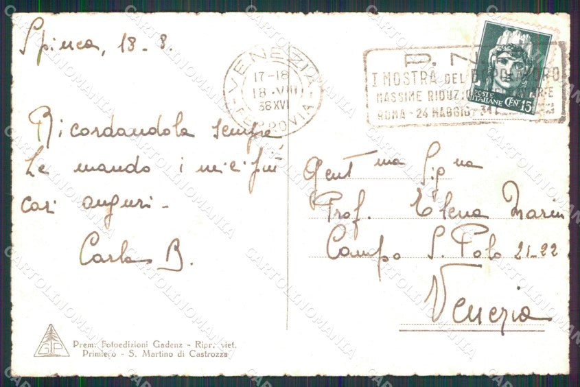 Trento San Martino di Castrozza Mucche al Pascolo cartolina MX4411 – retro