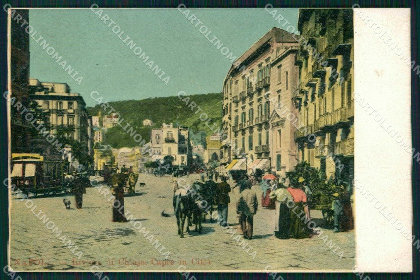 Napoli Città Riviera Chiaia Capre in Città cartolina MX4911 – fronte