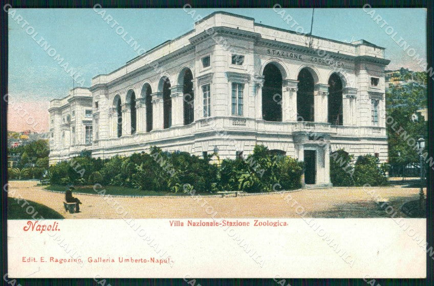 Napoli Città Villa Nazionale Stazione Zoologica Ragozino 2556 cartolina MX4944 – fronte