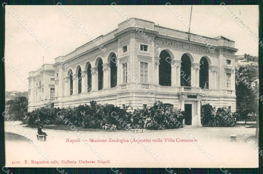 Napoli Città Stazione Zoologica Acquario Ragozino 4100 cartolina MX5107 – fronte