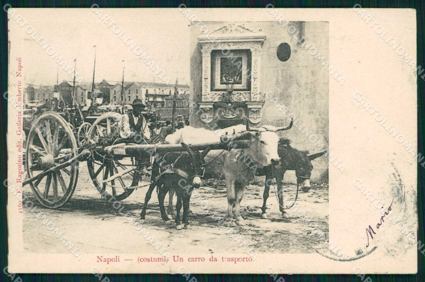 Napoli Città Costumi Carro da Trasporto PIEGHINA Ragozino 4169 cartolina MX5239 – fronte