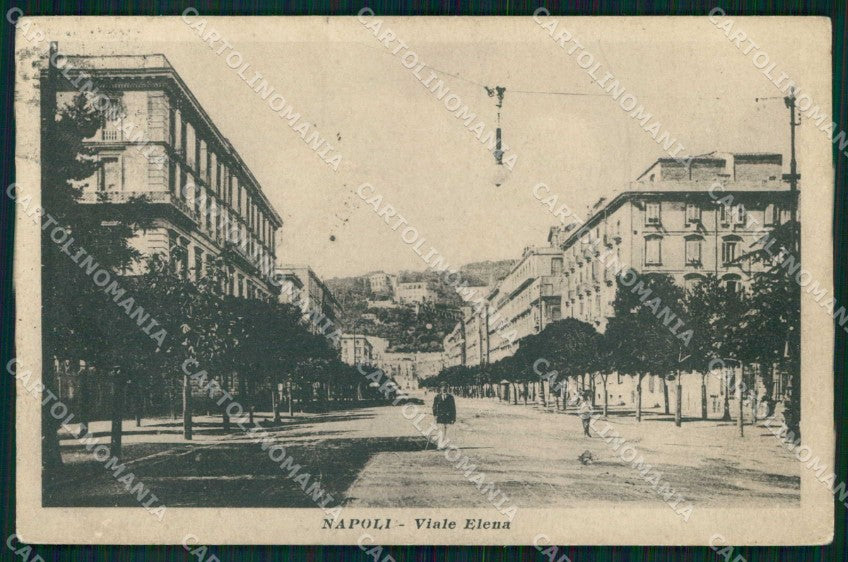 Napoli Città Viale Elena cartolina MX5378 – fronte