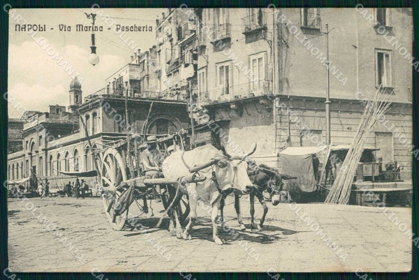 Napoli Città Via Marina Mestieri Pescheria cartolina MX5851 – fronte