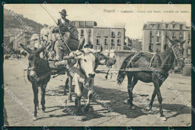 Napoli Città Costumi Carro Bove Cavallo Asino Brunner 15647 cartolina MX6833 – fronte