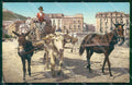 Napoli Città Costumi Carro Bove Cavallo Asino Brunner 15647 cartolina MX6868 – fronte