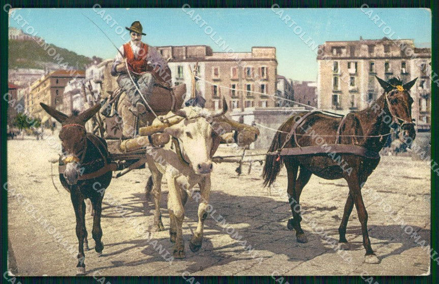 Napoli Città Costumi Carro Bove Cavallo Asino Brunner 15647 cartolina MX6868 – fronte