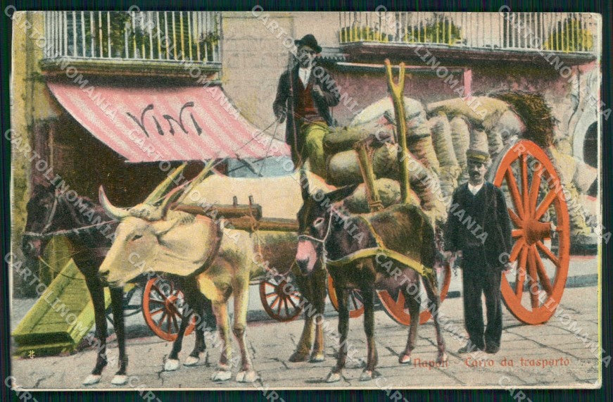Napoli Città Costumi Carro Trasporto cartolina MX6882 – fronte