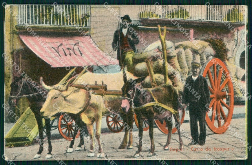 Napoli Città Costumi Carro Trasporto cartolina MX6883 – fronte