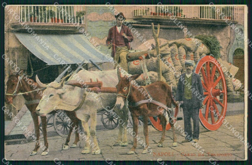 Napoli Città Costumi Carro Trasporto cartolina MX6974 – fronte