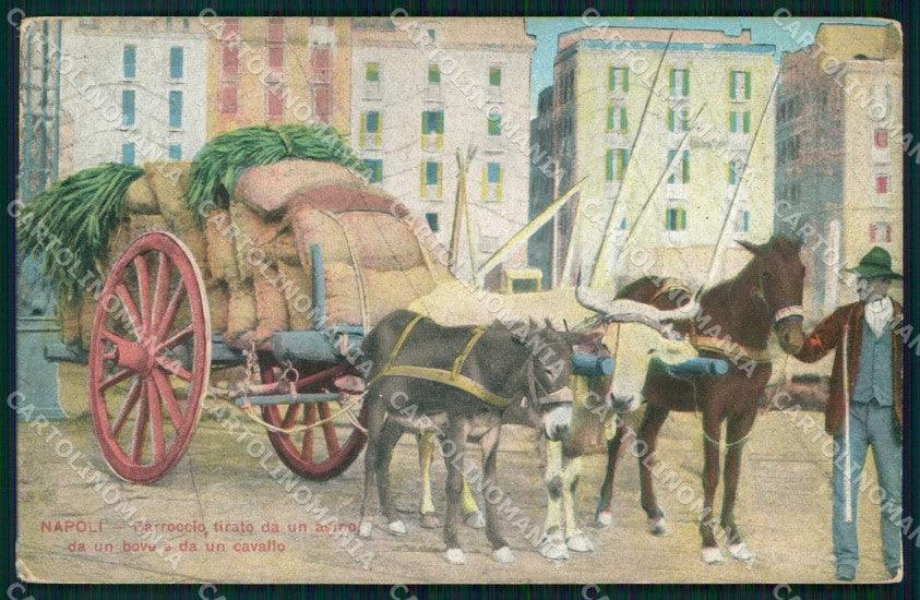 Napoli Città Costumi Barroccio Bove Asino Cavallo cartolina MX6975 – fronte