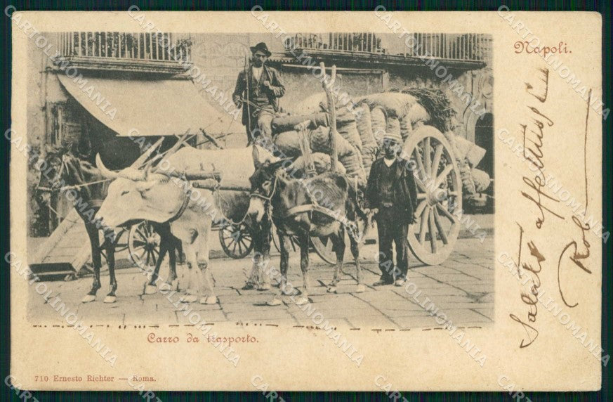 Napoli Città Costumi Carro Trasporto Richter 710 cartolina MX6980 – fronte
