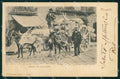 Napoli Città Costumi Carro Trasporto Richter 710 cartolina MX6980 – fronte