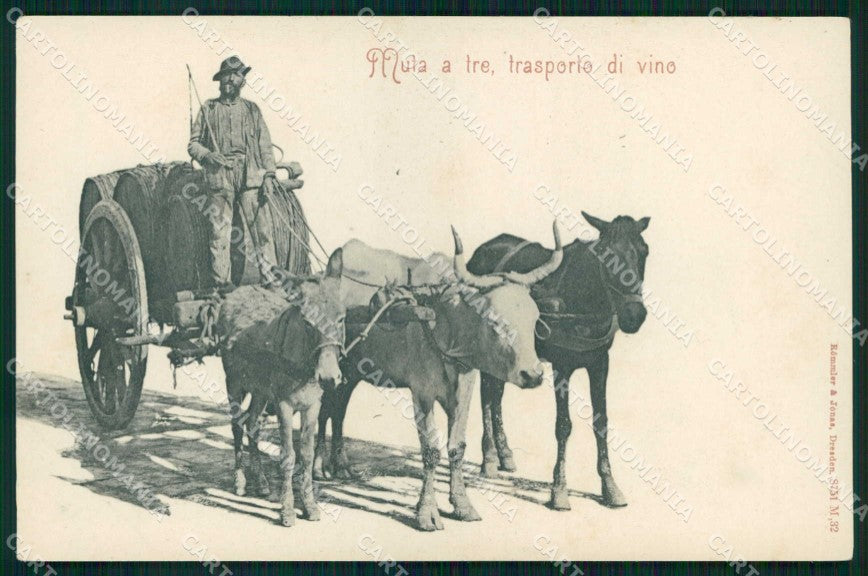 Napoli Città Costumi Carro Trasporto Vino Rommler 8751 cartolina MX6984 – fronte