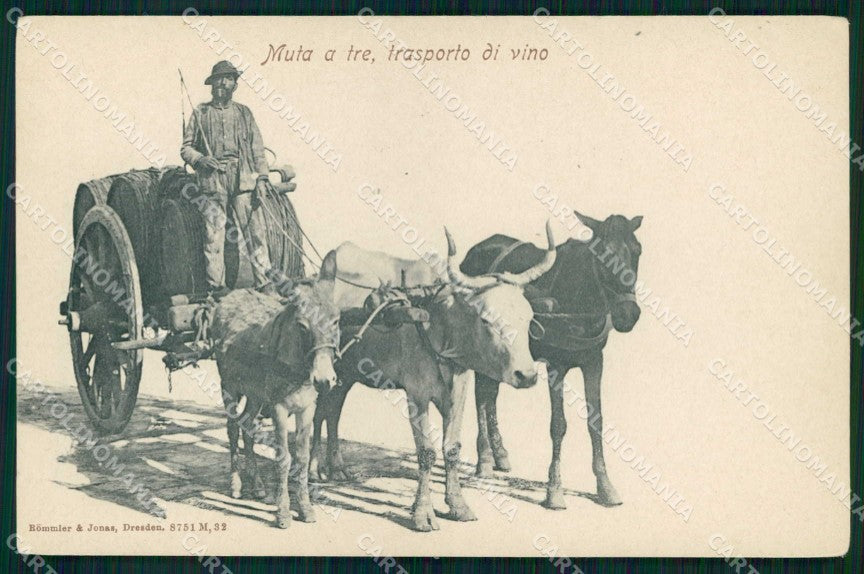 Napoli Città Costumi Carro Trasporto Vino Rommler 8751 cartolina MX6992 – fronte
