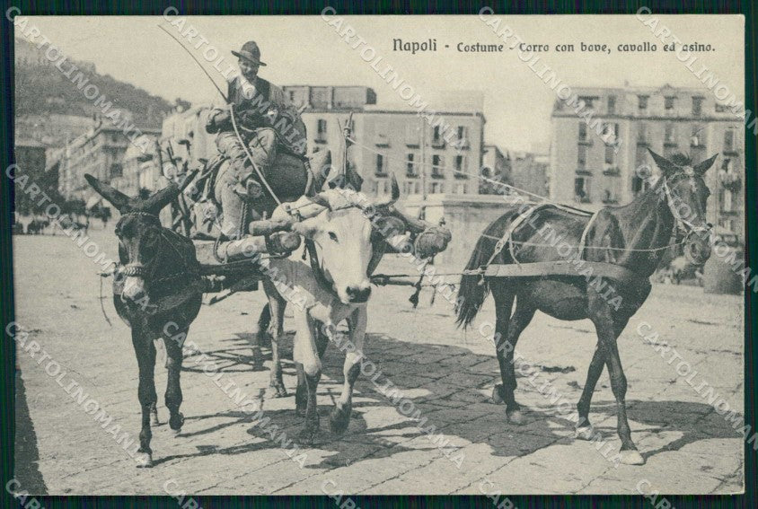 Napoli Città Costumi Carro Bove Cavallo Asino Brunner 15647 cartolina MX7008 – fronte