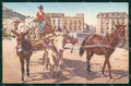 Napoli Città Costumi Carro Bue Cavallo Asino Brunner 703 6 cartolina MX7041 – fronte