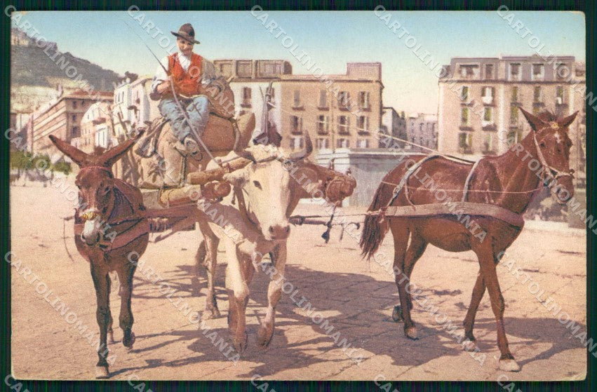 Napoli Città Costumi Carro Bue Cavallo Asino Brunner 703 6 cartolina MX7041 – fronte