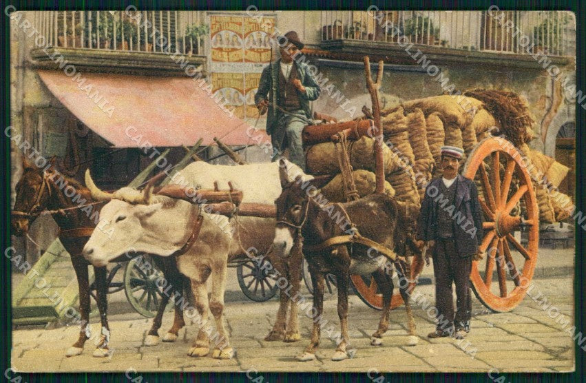 Napoli Città Costumi Carro Trasporto cartolina MX7063 – fronte