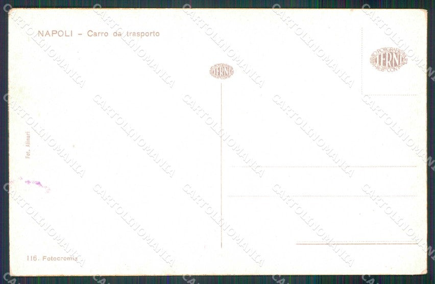 Napoli Città Costumi Carro Trasporto cartolina MX7063 – retro