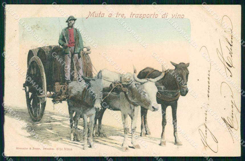 Napoli Città Costumi Carro Trasporto Vino Rommler 8751 cartolina MX7098 – fronte