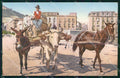 Napoli Città Costumi Carro Bue Cavallo Asino Brunner 703 6 cartolina MX7112 – fronte