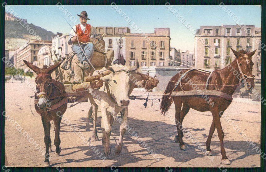 Napoli Città Costumi Carro Bue Cavallo Asino Brunner 703 6 cartolina MX7112 – fronte