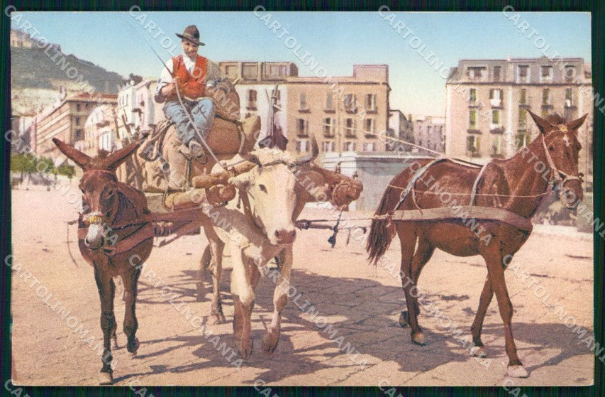 Napoli Città Costumi Carro Bue Cavallo Asino Brunner 703 6 cartolina MX7133 – fronte