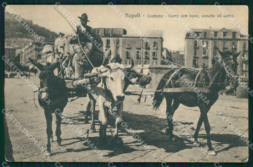 Napoli Città Costumi Carro Bue Cavallo Asino Brunner 15647 cartolina MX7174 – fronte
