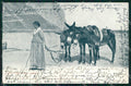 Napoli Capri Tipi Napoletani Donna Asini Richter 321 cartolina MX7177 – fronte