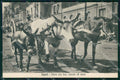 Napoli Città Costumi Carro Bue Cavallo Asino cartolina MX7193 – fronte