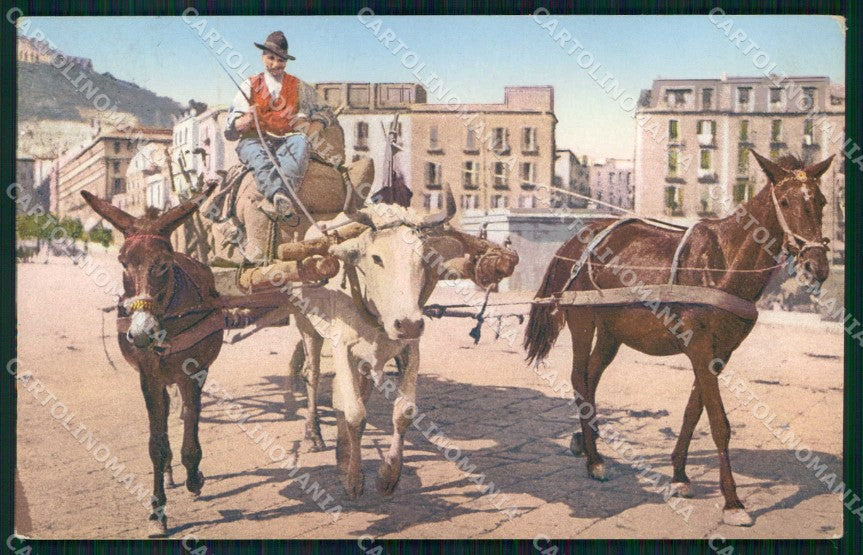 Napoli Città Costumi Carro Bue Cavallo Asino Brunner 703 6 cartolina MX7196 – fronte
