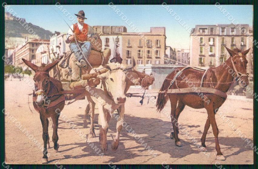 Napoli Città Costumi Carro Bue Cavallo Asino Brunner 703 6 cartolina MX7197 – fronte