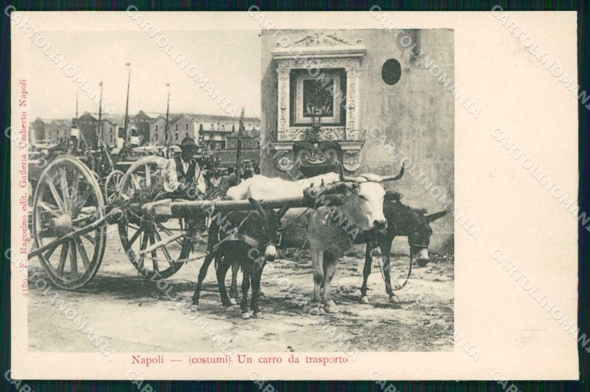 Napoli Città Costumi Carro Trasporto Ragozino 4169 cartolina MX7244 – fronte