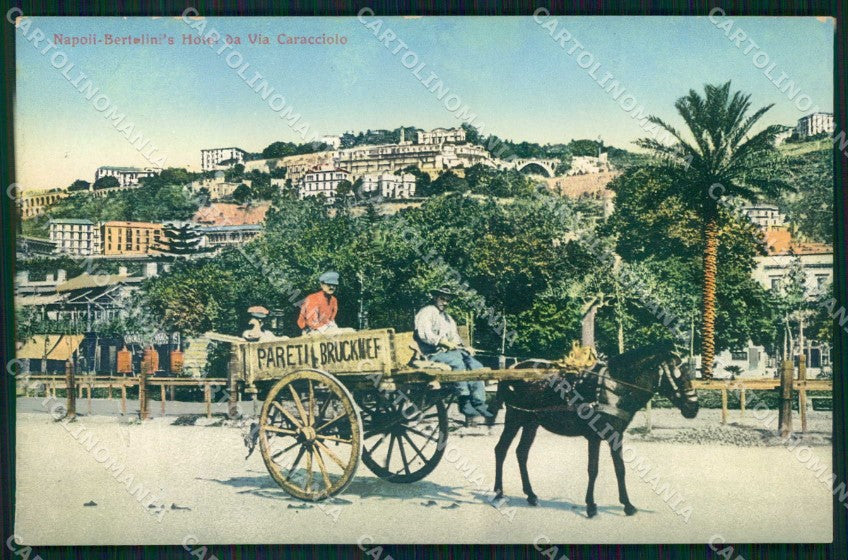 Napoli Città Bertolinis Hotel da Via Caracciolo Ragozino 8255 cartolina MX7249 – fronte
