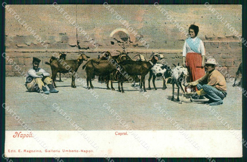 Napoli Città Costumi Caprai Ragozino 2679 cartolina MX7258 – fronte