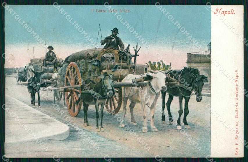 Napoli Città Costumi Carro Farina Ragozino 2588 cartolina MX7286 – fronte