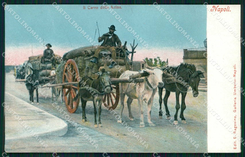 Napoli Città Costumi Carro Farina Ragozino 2588 cartolina MX7288 – fronte
