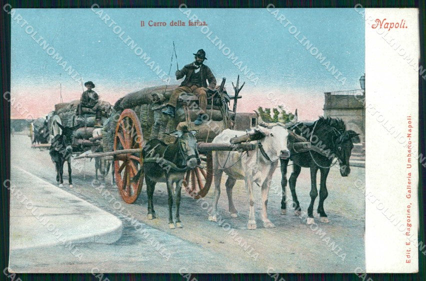 Napoli Città Costumi Carro Farina Ragozino 2588 cartolina MX7289 – fronte