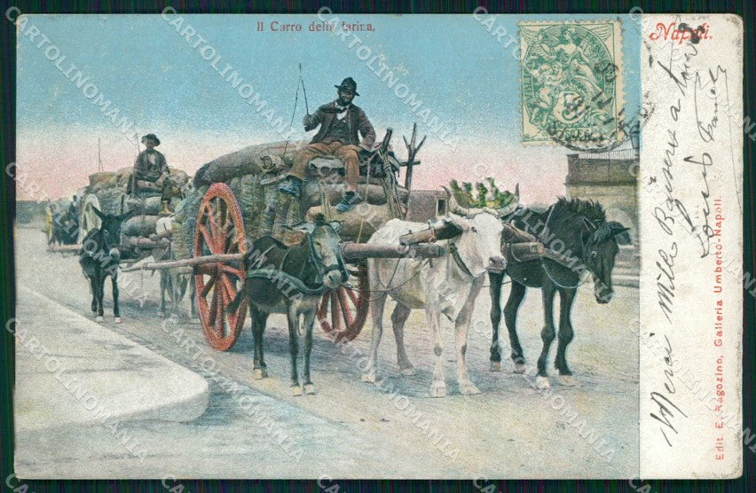 Napoli Città Costumi Carro Farina Ragozino 2588 cartolina MX7291 – fronte