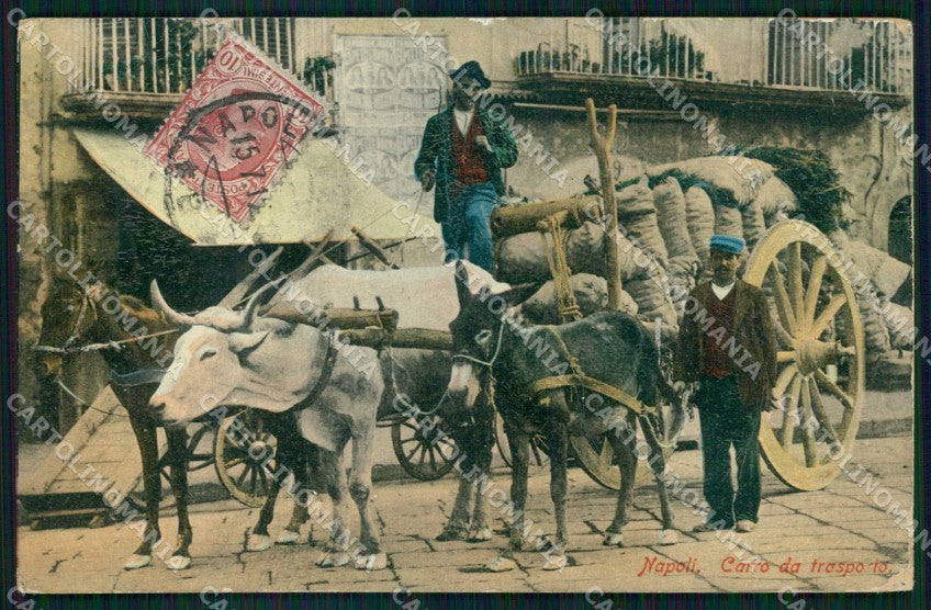 Napoli Città Costumi Carro Trasporto Foto cartolina MX7339 – fronte