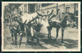 Napoli Città Costumi Carro Bue Cavallo Asino Foto cartolina MX7340 – fronte