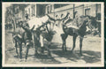 Napoli Città Costumi Carro Bue Cavallo Asino Foto cartolina MX7345 – fronte