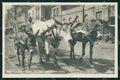 Napoli Città Costumi Carro Bue Cavallo Asino Foto cartolina MX7363 – fronte