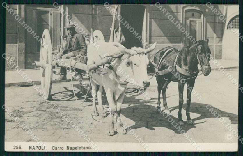 Napoli Città Costumi Carretto NPG Foto cartolina MX7364 – fronte